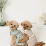 反射ほし柄ハーネス - Image 4