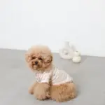 反射ほし柄ハーネス - Image 6