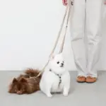 シンプルベーシックカラー継ぎ足しリード - Image 4