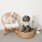 コードチョーカー - Image 5