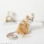 ギンガムチェックハーネス+リードSET【名入れ刺繍対応】 - Image 4