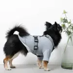 ギンガムチェックハーネス+リードSET【名入れ刺繍対応】 - Image 8