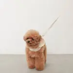 フード付きボーダーハーネス+リードSET【旧モデル】 - Image 4