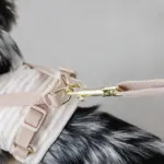 ボーダー冷感ハーネス＋リードSET【名入れ刺繍対応】 - Image 7