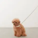 チェックカラー＋リードSET【名入れ彫刻対応】 - Image 7