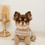 ボアコンビハーネス＋リードSET【名入れ刺繍対応】 - Image 7