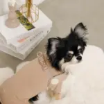 ボアコンビハーネス＋リードSET【名入れ刺繍対応】 - Image 10