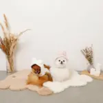 うさぎ耳付きフードファーハーネス - Image 10