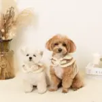 ムートン風ハーネス+リードSET【名入れ刺繍対応】 - Image 3