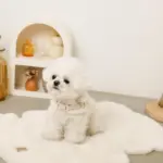 スカラップカラー花柄キルティングハーネス+リードSET【名入れ刺繍対応】 - Image 8