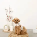 ボアウールハーネス - Image 2