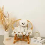 ボアウールハーネス - Image 6