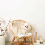 ボアウールハーネス - Image 10