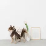 ニュアンスカラーリュックハーネス【名入れ刺繍対応】 - Image 5