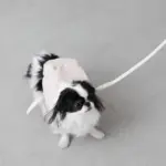 ニュアンスカラーリュックハーネス【名入れ刺繍対応】 - Image 7