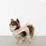 チェック×ファーハーネス - Image 2