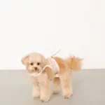 チェック×ファーハーネス - Image 4