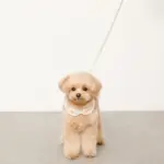 チェック×ファーハーネス - Image 5