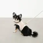 チェック×ファーハーネス - Image 6