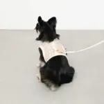 チェック×ファーハーネス - Image 7