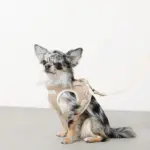 冷感メッシュハーネス+リードSET【名入れ刺繍対応】 - Image 4