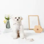 ぽこぽこハーネス+リードSET【名入れ刺繍対応】 - Image 2