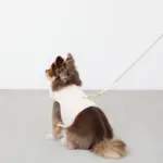 刺繍レースハーネス＋リードSET【名入れ刺繍対応】 - Image 2