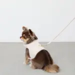 刺繍レースハーネス＋リードSET【名入れ刺繍対応】 - Image 8