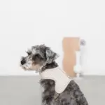 ギンガムチェックハーネス - Image 4