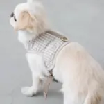 ギンガムチェックハーネス - Image 8