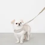 ギンガムチェックハーネス - Image 10