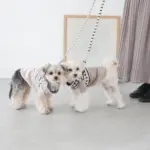 ボーダーリード - Image 6