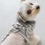 ボーダーリード - Image 8