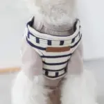 ボーダーリード - Image 10