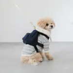 デニムバックパックハーネス - Image 4