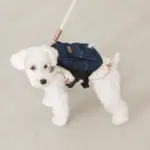 デニムバックパックハーネス - Image 6