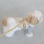 レザーハーネス　MEDIUM - Image 7