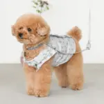 リングライトリード - Image 3