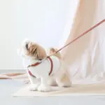 レザーハーネス　SMALL - Image 6