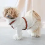 レザーハーネス　SMALL - Image 8