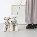 ボーダーハーネス+ボーダーリードSET - Image 4