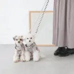 ボーダーハーネス+ボーダーリードSET - Image 5