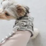 ボーダーハーネス+ボーダーリードSET - Image 9