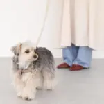 シュリンクレザーハーネス - Image 9