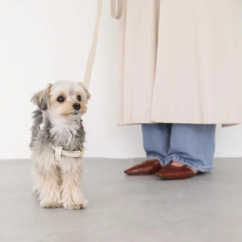 オーダー キーホルダー - Professional Guide and Review