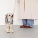 シュリンクレザーハーネス - Image 10