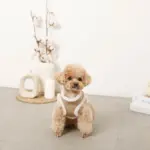 エコレザーボアMIXハーネス+リードSET【名入れ刺繍対応】【旧モデル】 - Image 4