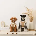 エコレザーボアMIXハーネス+リードSET【名入れ刺繍対応】【旧モデル】 - Image 7