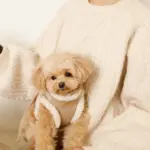 エコレザーボアMIXハーネス+リードSET【名入れ刺繍対応】【旧モデル】 - Image 9