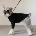 サークルチャームレザーカラー MEDIUM - Image 6